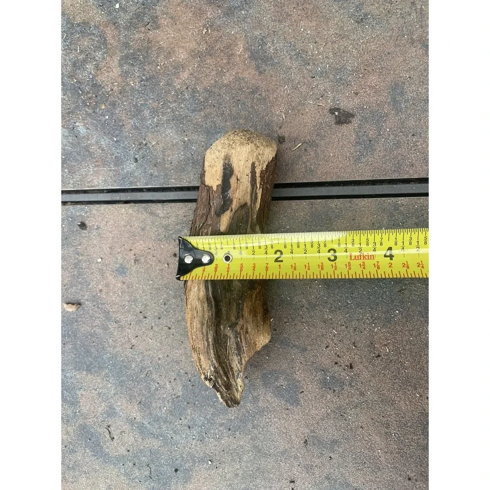 Natural Driftwood for Plants Terrarium‎ Taxidermy Art Projects